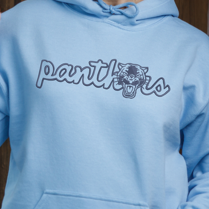 Panthers Embroidered Hoodie or Sweatshirt